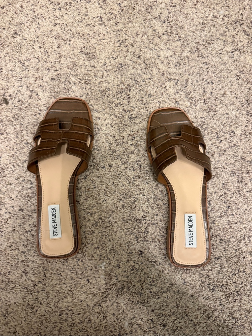 Steve Madden Croc-Embossed Brown Slides